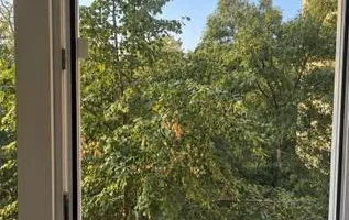 Vanzare Apartament 2 camere, 46 mp utili + lbalcon bloc 1970, Drumul Taberei - Poză 11