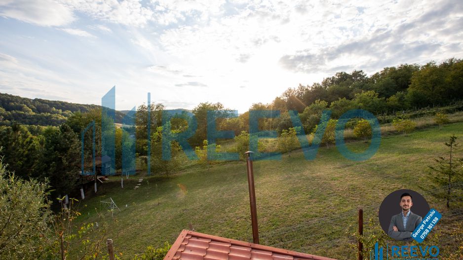 Casă/Vilă de vânzare, Luncani, Jud Bacău - Poză 42