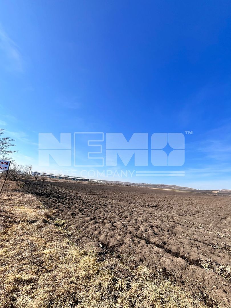 Vanzare I Teren I Suceava/Stroiesti I 100 ARI 2999 Euro/Ar - Poză 4
