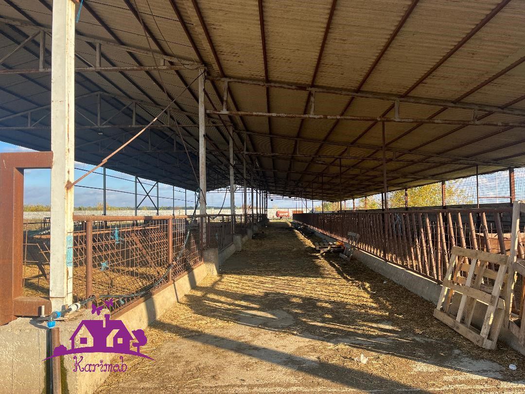 Teren industrial si o constructie pe structura metalica - Poză 2