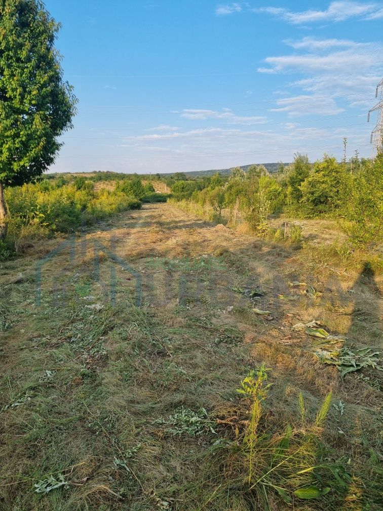 Teren intravilan 4.000 mp în sat Curături, comuna Ciurea - Poză 3