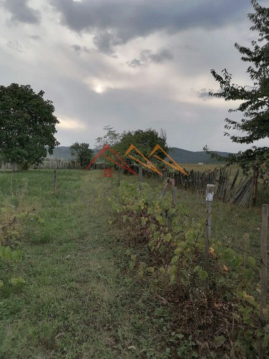 Casa rustica 3 camere, 4000 mp teren, cabana din lemn, pomi fructiferi - Poză 5