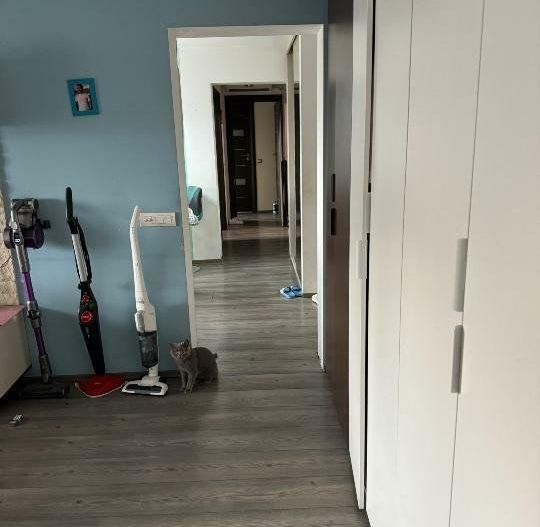 Apartament 3 camere Ardeleni - Poză 10