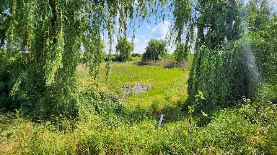 Spatiu industrial productie/ depozitare, Timiș - Poză 27