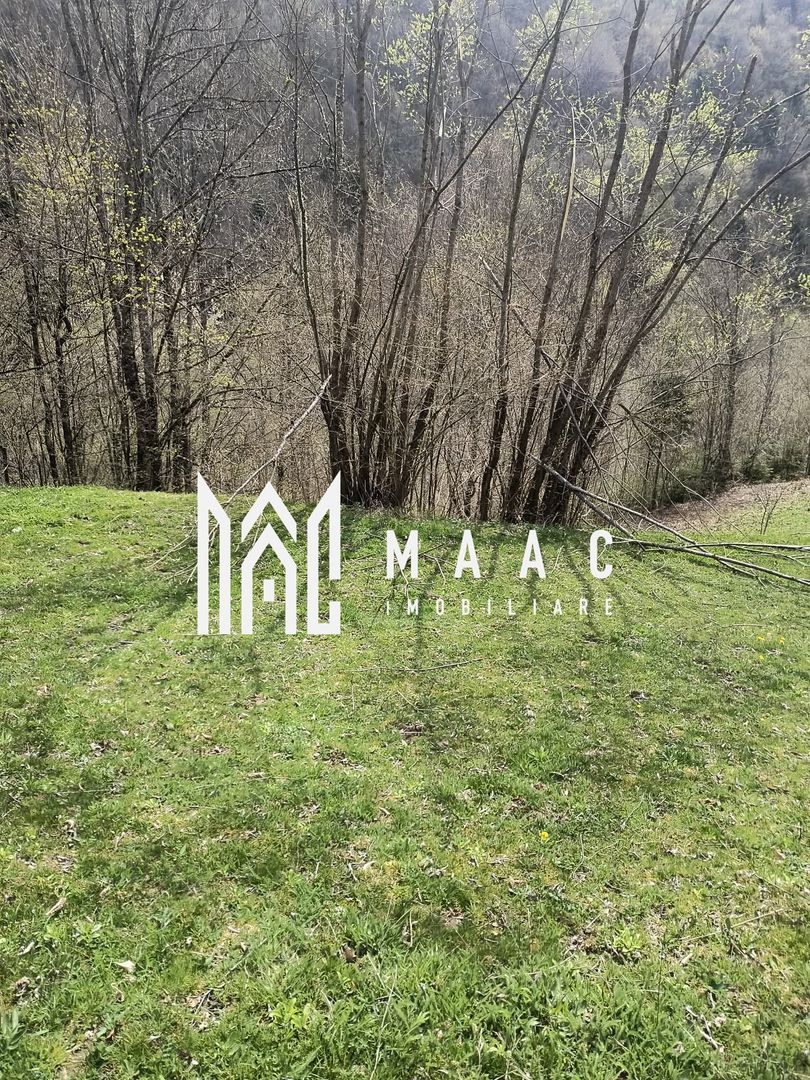 Un colt de rai in Apuseni I viața ca pe vremuri - Poză 7