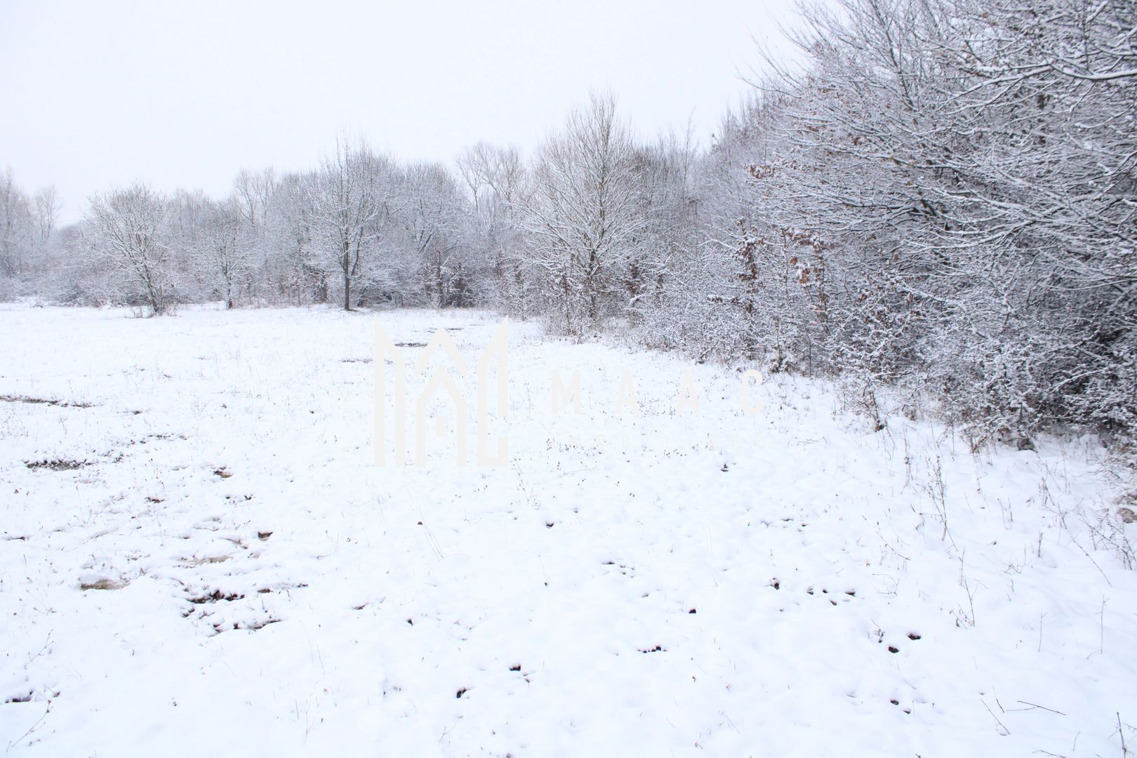 Super oferta I teren intravilan de vanzare in Cisnadie - Poză 5