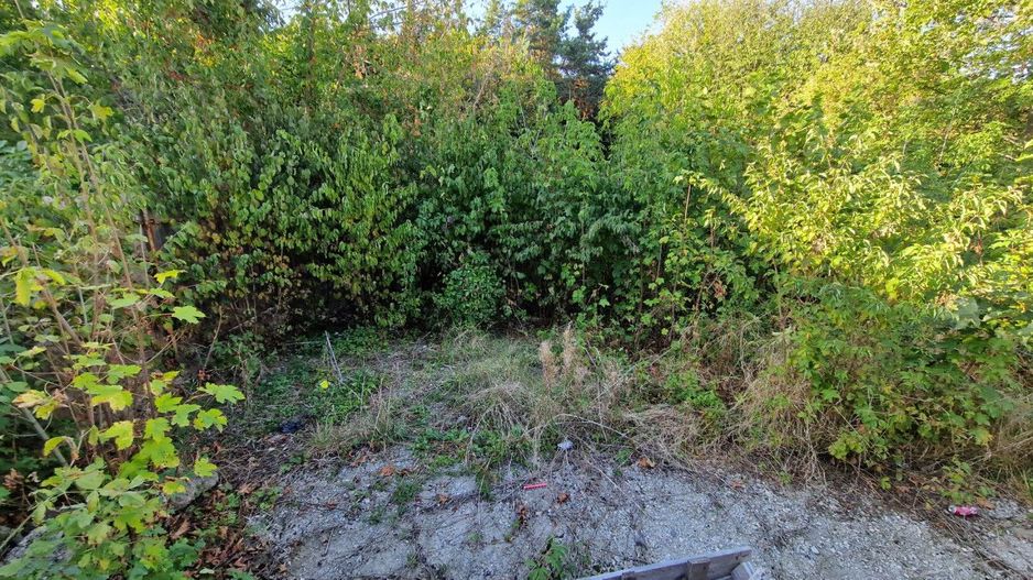 Teren cartier Trivale, langa padure - Poză 3