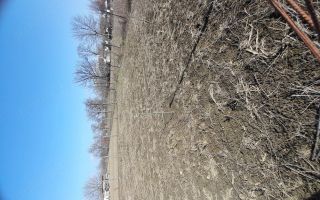 Loc de casă în Prisecani, comuna Popricani - Poză 2