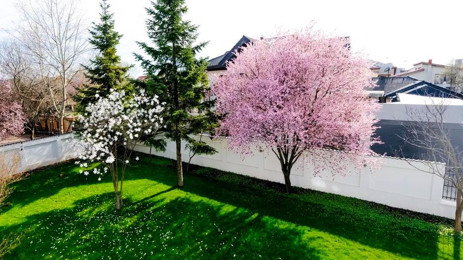 Rent | Individual Villa 7 Rooms 390sqm | Total Privacy | Pipera - Poză 3