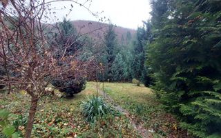 Casă | 260 mp utili | 1.100 mp teren | Râul Sadului | - Poză 24