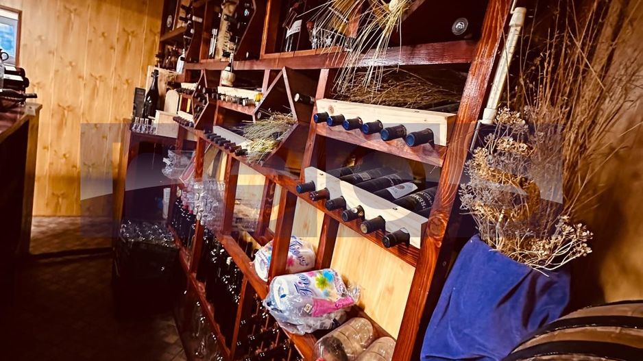 VILA DE VANZARE PE LAC | CREVEDIA | 7 CAMERE - Poză 13