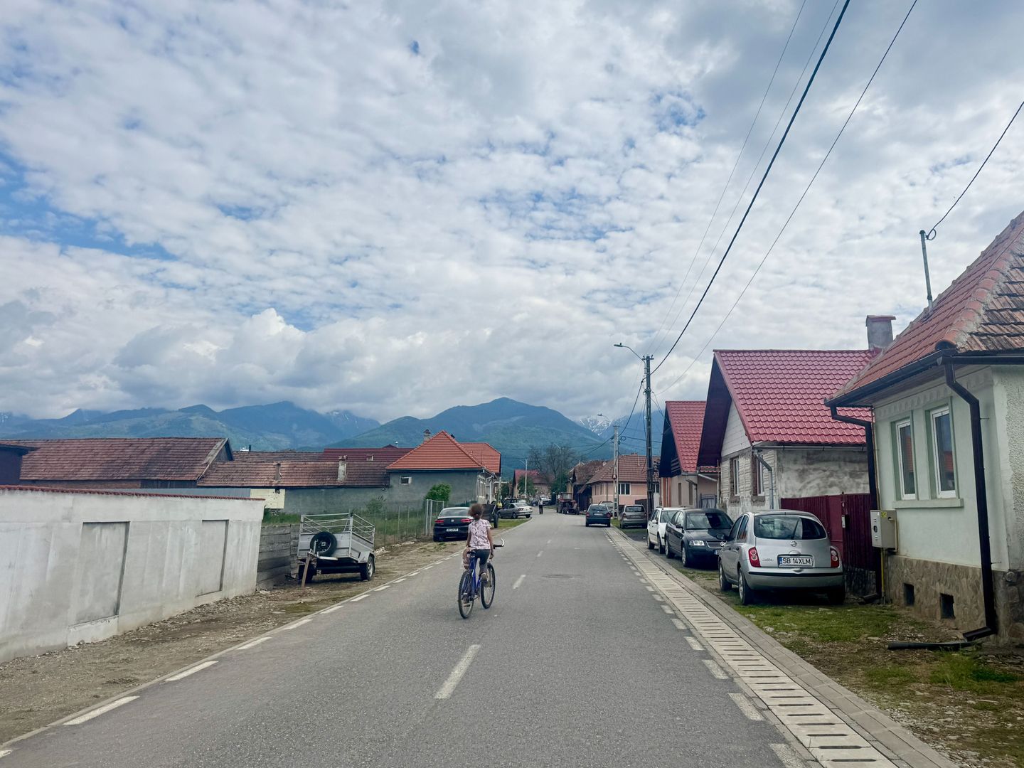 Casa individuala in Arpasu de Sus, teren mare, partial renovata - Poză 31