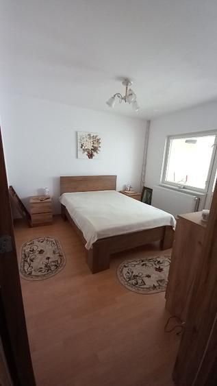 Apartament 3 camere, confort 0, etaj intermediar, Casa de Cultură - Poză 6