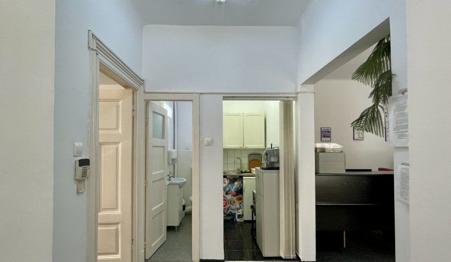 Casa D+P+1 cu curte 100mp, incadrare birouri, zona Eminescu - Poză 9