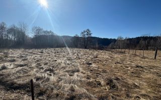 TEREN INTRAVILAN 5000MP, LERESTI, ARGES - Poză 5