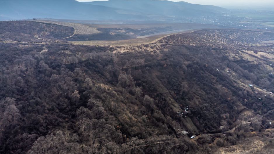 Teren în Ghioroc pe deal - Poză 3