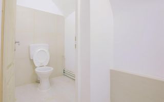 Sub mantia arhitecturala istorica a Cetatii Timisoarei, Spatiu comercial - Poză 35