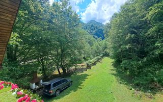 Paradis pe Transalpina in Sugag - Poză 1