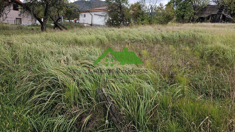 Vânzare teren intravilan 2800 mp – Baia Sprie, cartier de case - Poză 2