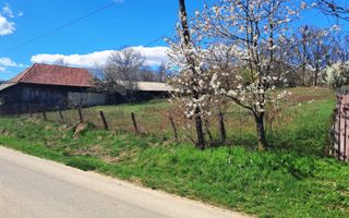 TEREN INTRAVILAN ȘI EXTRAVILAN POLOVRAGI - Poză 8