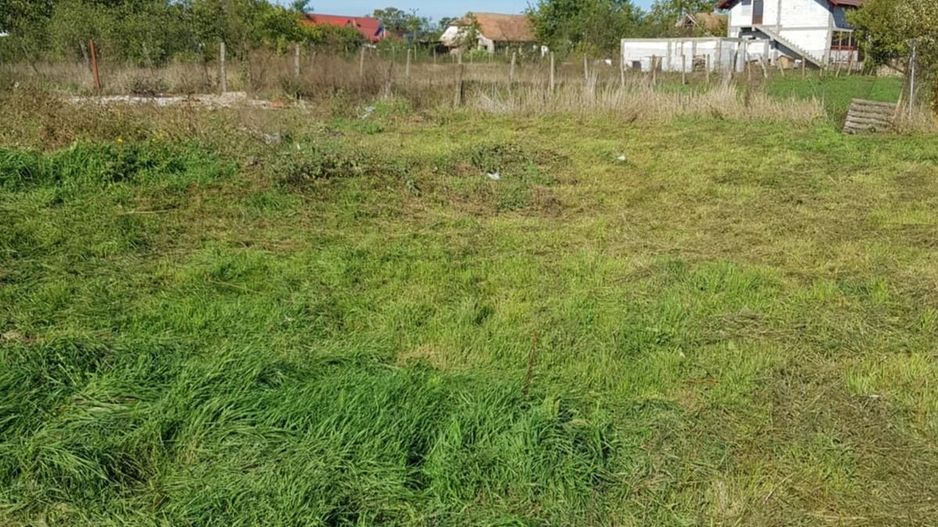 Teren Intravilan Becicherecu Mic In Vatra Satului,1000 mp,Fs. 14m - Poză 4