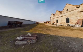 Teren și hale pe Calea Aradului din Periam - Poză 3