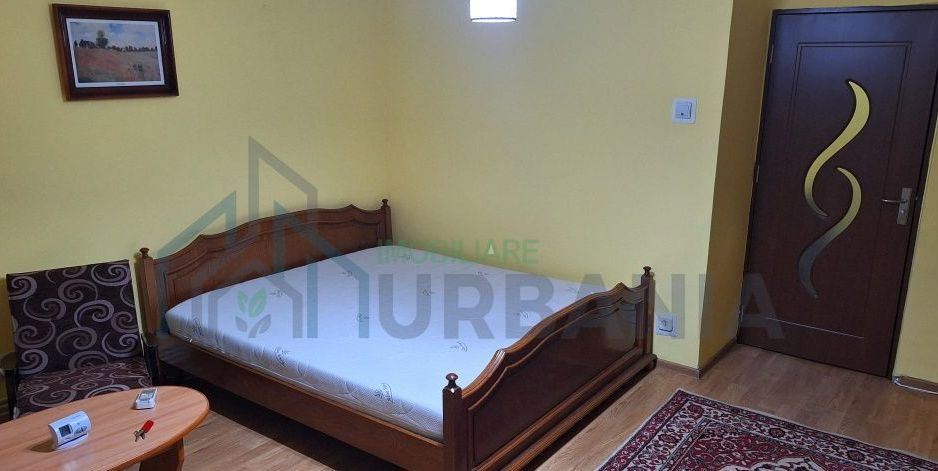 Apartament 1 camera, zona Pacurari, renovat, mobilat, utilat - Poză 3