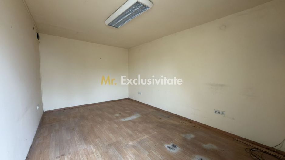 Inchiriere Clădire Producție, Depozitare 278 mp -Teren 1380 mp - Carei - Poză 15
