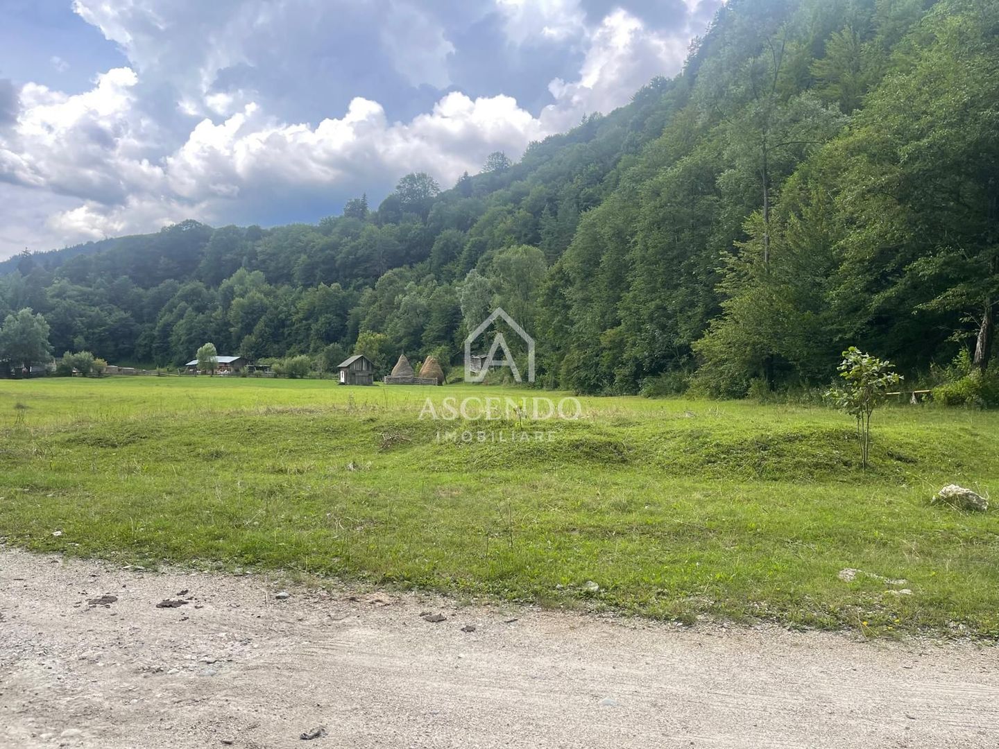 Teren pentru investiție turistică în Dâmbovicioara – Baranga | 4.500 mp | Front ~102 ml - Poză 2