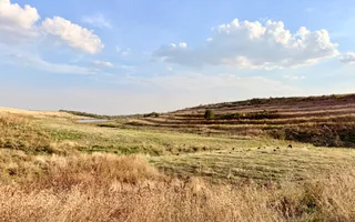 Teren Daia 75000 mp cu balta 30000 mp izvoare - Poză 21