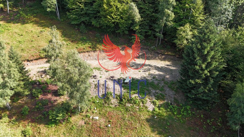 18000 mp de natura pura ,Lupeni, langa Straja - Poză 16