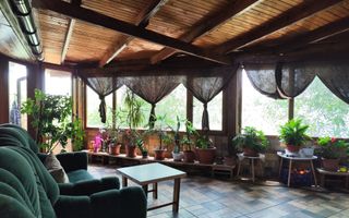 Balta de Pescuit | Cabana din Busteni | Teren 6,37 ha | langa Oradea - Poză 12