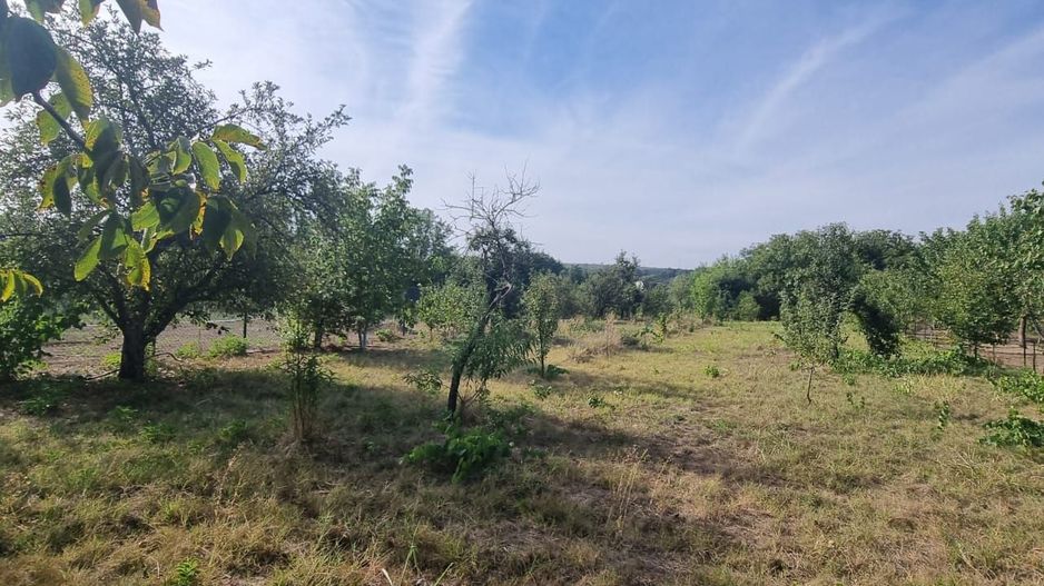 Teren 2000 mp de vânzare – Comana, deschidere la lac, aproape de Parcu - Poză 3