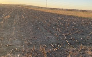 Teren Valea Seaca | 26 Ari | 108.000 EUR - Poză 2