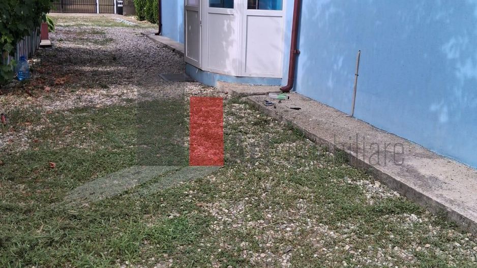 2 case + teren + anexe - proprietate completa in Coteana - Poză 2