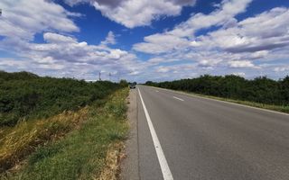De vânzare teren extravilan, 11,600 mp, Salonta - Poză 8