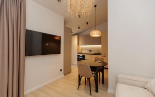 Vânzare, apartament la sol, 2 camere, str. Ion Doncev, Centru - Poză 6