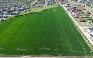 PUZ pentru servicii 7540mp | Dumbravita - Poză 2