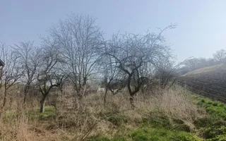 Casă de vânzare Drăgoiești - Poză 38