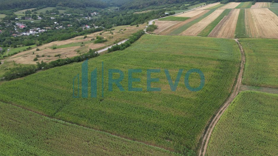 Teren de 3.600 mp Racova - Poză 8