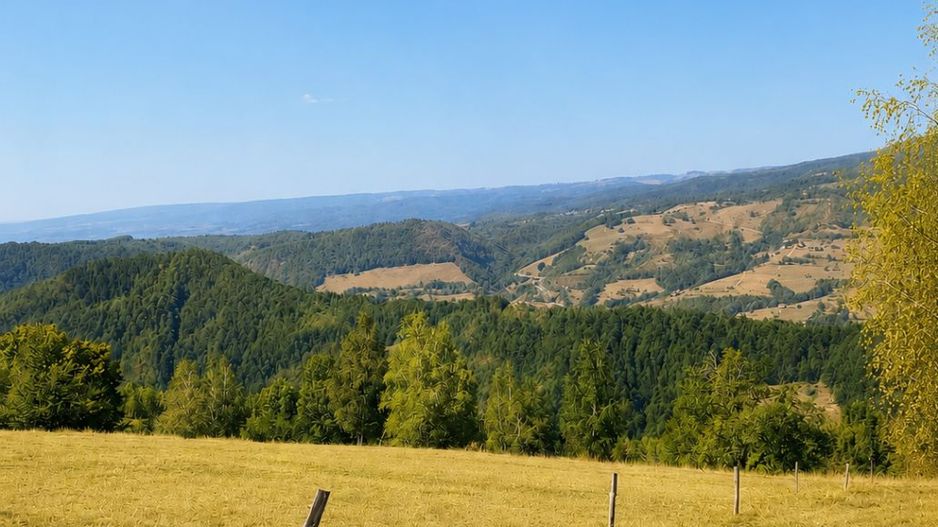 Casă de vacanță Bulz - Poză 6