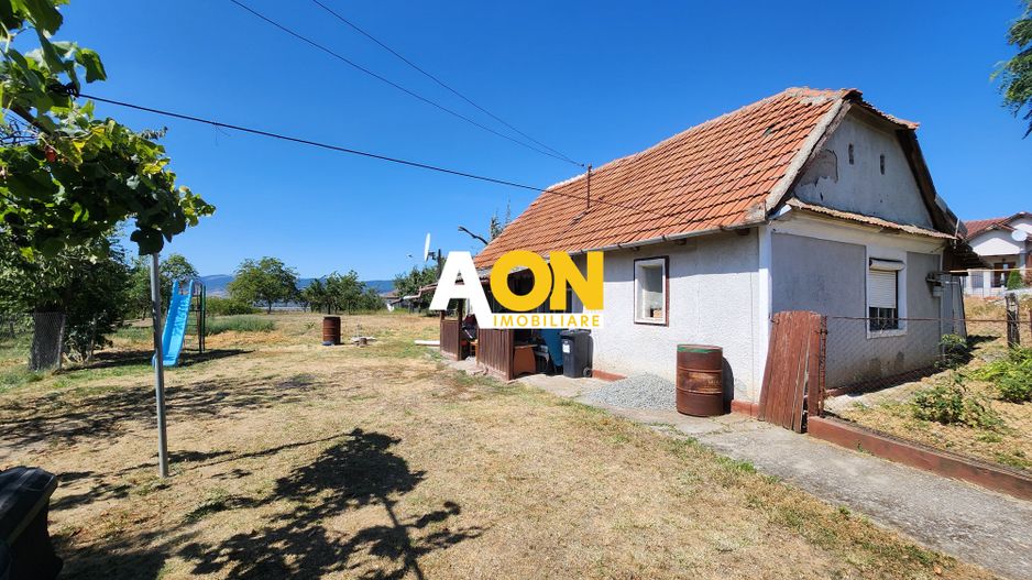 De vanzare teren 10.651mp intravilan, parcelabil, Oarda de Sus - Poză 1