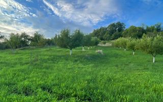 EXCLUSIVITATE! TEREN INTRAVILAN 29.2 ARI + 5.8 ARI TEREN EXTRAVILAN, DE VANZARE - Poză 5