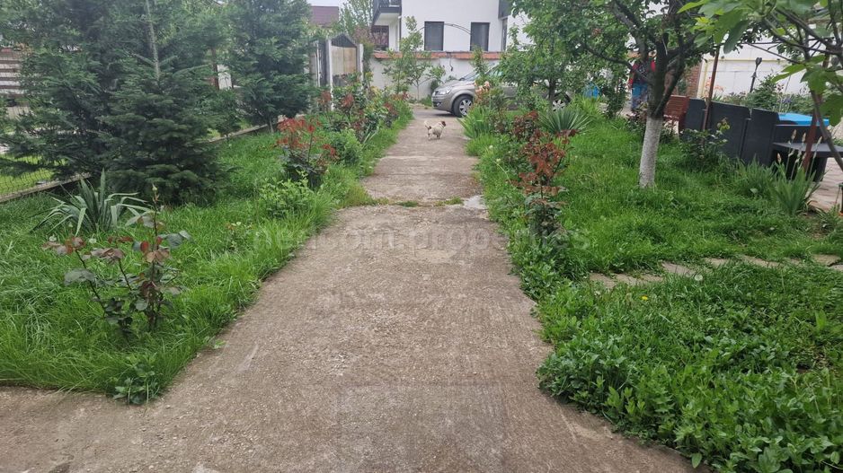 Vanzare Casa P+1 Magurele - Poză 20