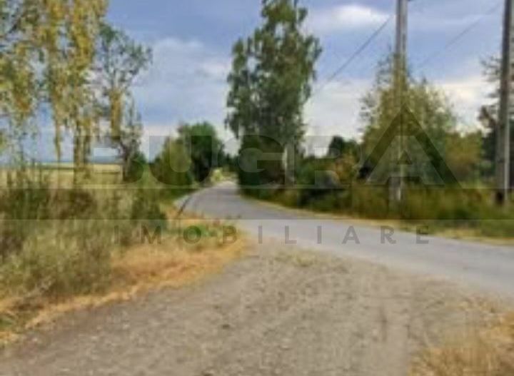 Teren extravilan, 4265 mp, zona Dangau Mare - Poză 2