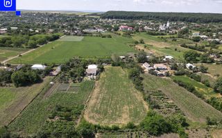 Teren - Ionășeni | BOTOȘANI | 3.285mp - Poză 7