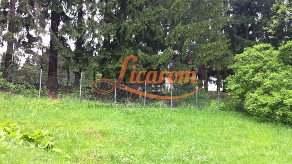 Teren intravilan Cotul Donului,pretabil Hotel/pensiune. - Poză 11