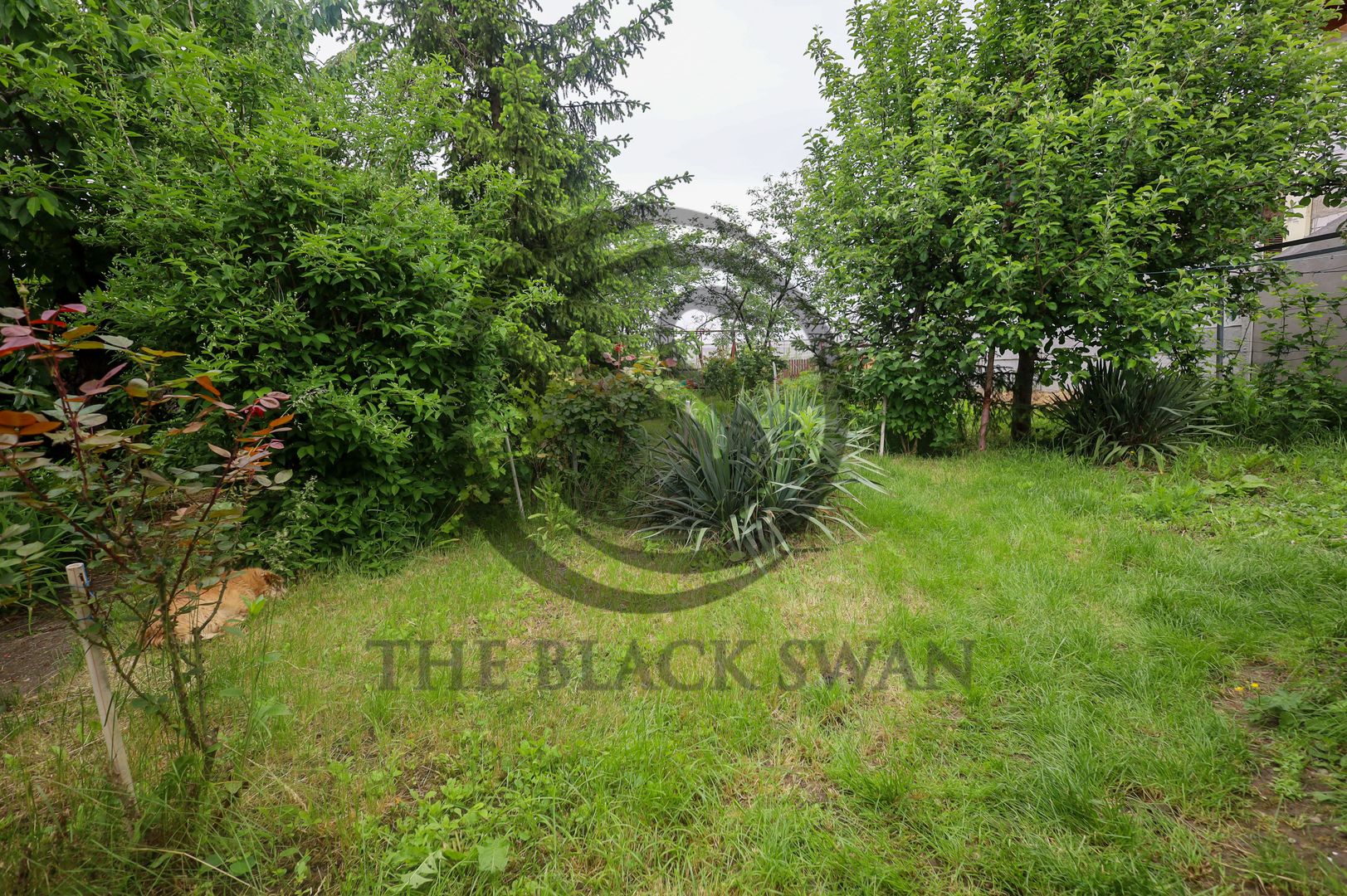 Casa cu 4 camere de vanzare | Gorgota, Prahova | Comision 0 % - Poză 16