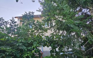 Casă / Vilă cu 8 camere de vânzare în Lapus, Craiova - Poză 4