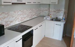 De inchiriat apartament cu o camera, centru, etaj 1, 400 E - Poză 5